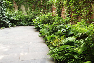 Photo of a small modern shade courtyard stone landscaping in New York for summer.