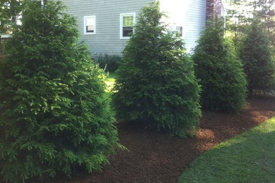 Inspiration for a traditional landscaping in Boston.
