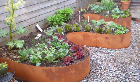 El jardín comestible: Ten tu propio huerto y a la vez un fértil vergel