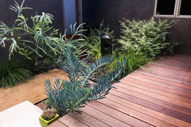 Photo of a small contemporary courtyard xeriscape and private partial sun garden in Los Angeles with decking.