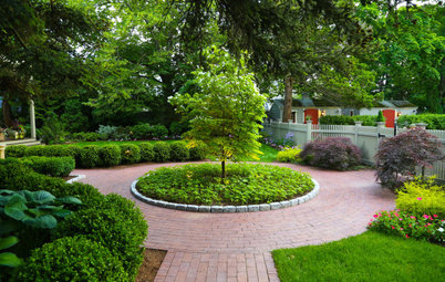 When and How to Plant a Tree, and Why You Should