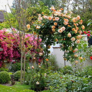 Foto di un giardino mediterraneo dietro casa in estate
