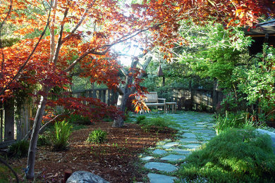 Inspiration for an asian landscaping in San Francisco.