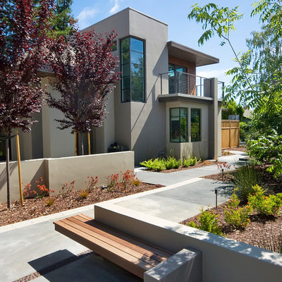 This is an example of a contemporary landscaping in San Francisco.