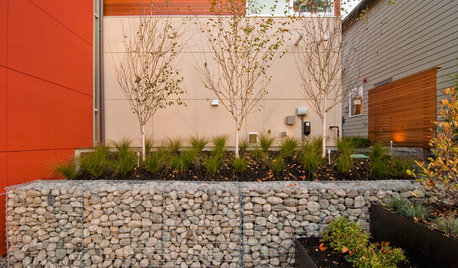 Garden Walls: Gabion Evolves From Functional to Fabulous