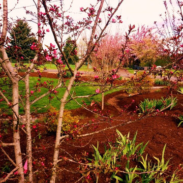 Master Gardener Landscape Makeover Rain Garden