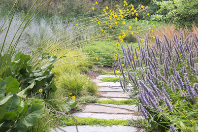 Imagen de jardín grande en verano en patio trasero con exposición total al sol y adoquines de piedra natural