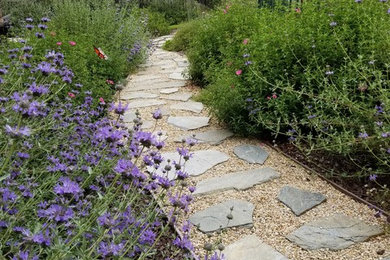 Inspiration for a transitional landscaping in Los Angeles.