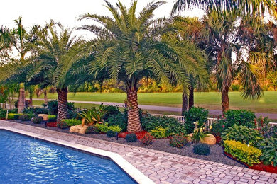 マイアミにあるトロピカルスタイルのおしゃれな庭の写真