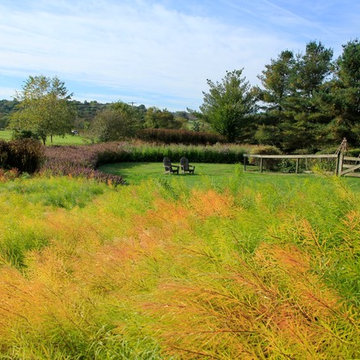 Meadow Landscape, West Chester PA