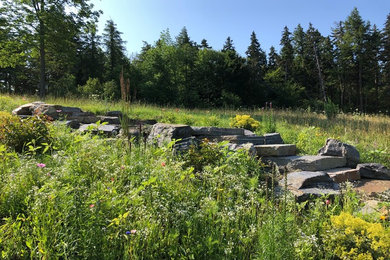 Design ideas for a mid-sized rustic full sun hillside landscaping in Burlington.