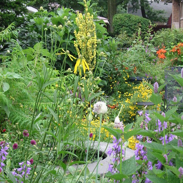 Medicinal Herb Garden