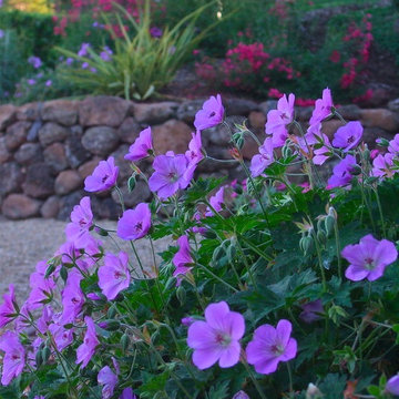 Mediterranean Cottage Garden