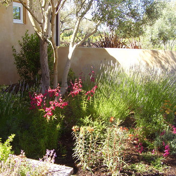 Mediterranean Courtyard Garden