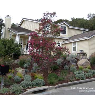 Mediterranean Front Hillside Garden - Novato, California