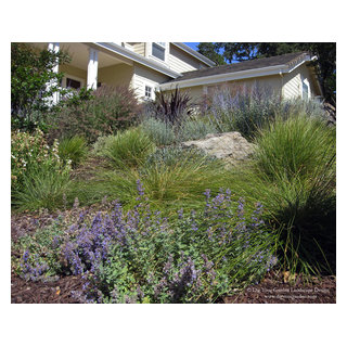 A Hillside Garden Makeover in California - This Old House