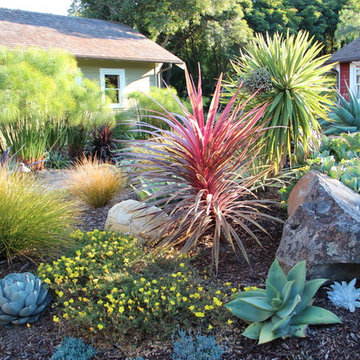 Mediterranean Garden Feature in San Luis Obispo