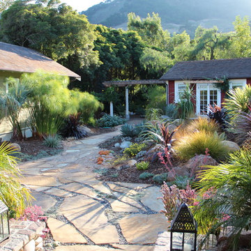 Mediterranean Garden Feature in San Luis Obispo