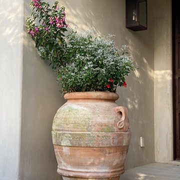 Mediterranean garden in Los Alto Hills