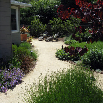 Mediterranean garden with curving pathways of DG and drought tolerant plants