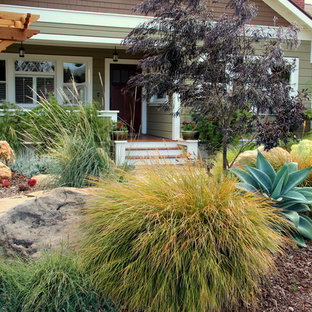 Photo of a mediterranean drought-tolerant garden path in San Luis Obispo.