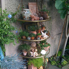 Plant display - outside