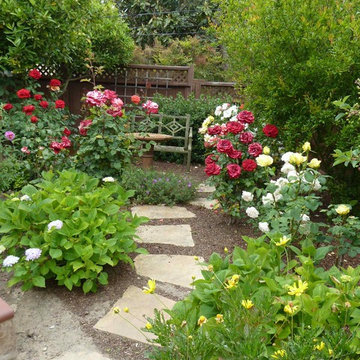Mediterranean Rose Garden