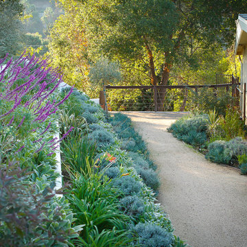 Mediterranean Terraced - Side Garden
