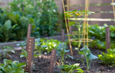 Keep Track of Your Vegetable Garden With Plant Markers