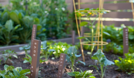 Keep Track of Your Vegetable Garden With Plant Markers