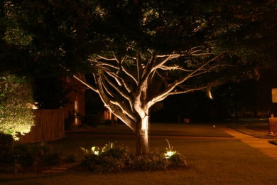 Memphis Tree Lighting