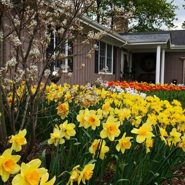 Spring Bulb Planting - Mequon, WI