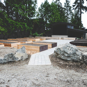 Mercer Island Production Garden and Native Landscape-In Process