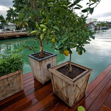 Miami Beach "Tree of Life"