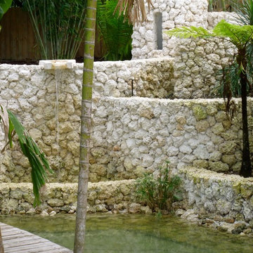Miami Tropical Landscape water feature
