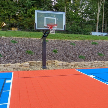 michael p's Pro Dunk Gold Basketball System on a 30x60 in Kingsport, TN