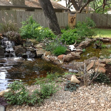 Michael's Backyard Pond with Waterfall and Bog Filter