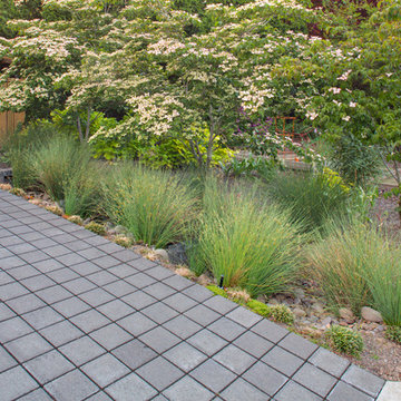 Mid Century Backyard Renovation - Raleigh Hills, OR