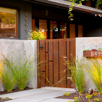 Mid Century Courtyard Remodel