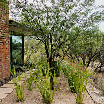 Mid-Century in Carefree | Drought Tolerant Planting