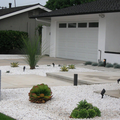 This is an example of a mid-sized mid-century modern drought-tolerant and full sun front yard landscaping in Orange County.