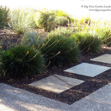 Mid Century Modern Landscape Transformation