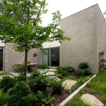Mid-Century Modern Revival