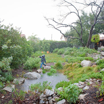 Vernal Pool Playground