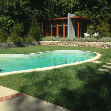 Midcentury Back Yard