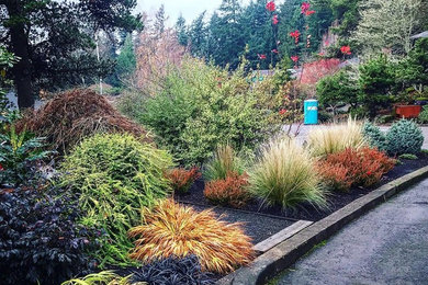 Inspiration for a mid-century modern landscaping in Portland.