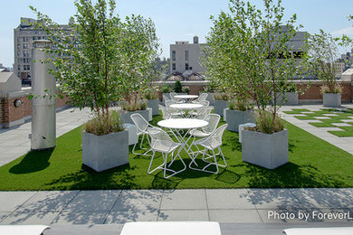 This is an example of a modern rooftop garden path in New York.