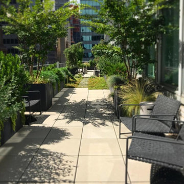 Midtown Roof Terrace Garden