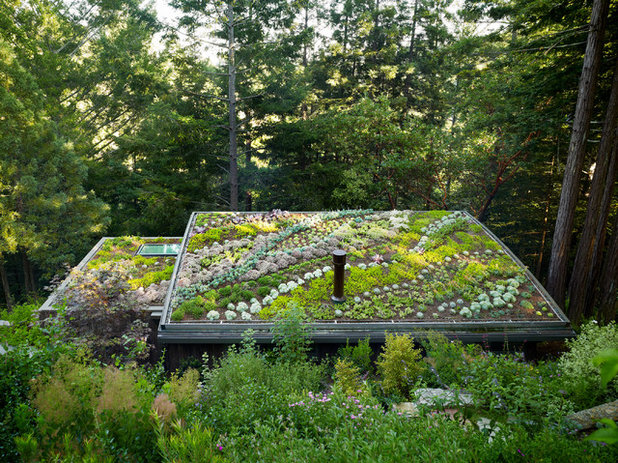 Contemporary Garden by Feldman Architecture, Inc.