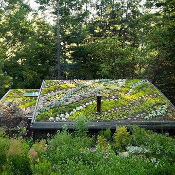 Mill Valley Cabins